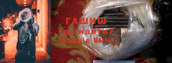 хмурый Аркадак