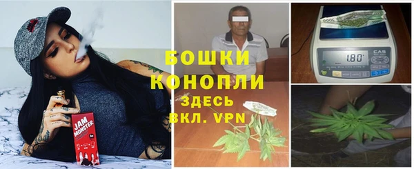 хмурый Аркадак