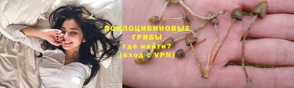 не бодяженный Арсеньев
