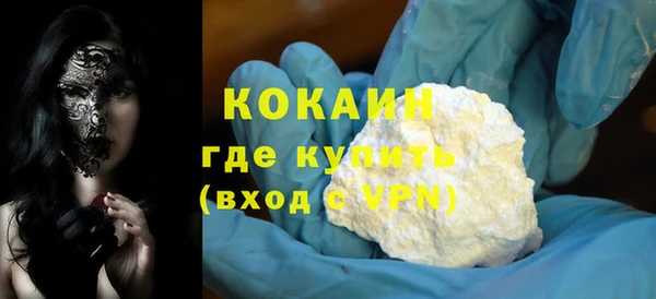 хмурый Аркадак