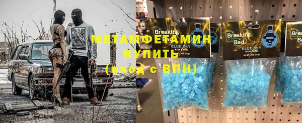 хмурый Аркадак
