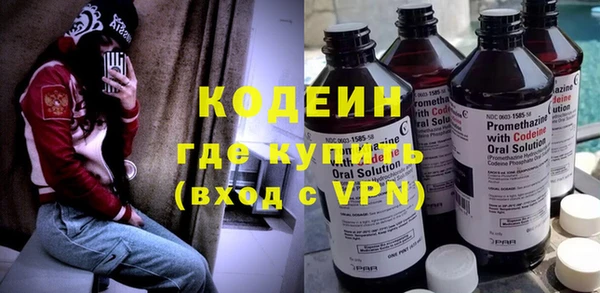хмурый Аркадак