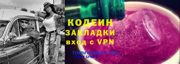 хмурый Аркадак