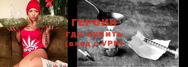 хмурый Аркадак