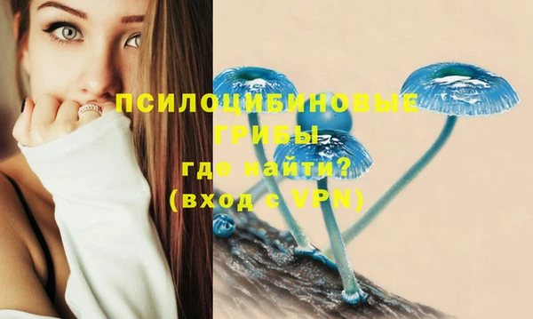 дживик Армянск