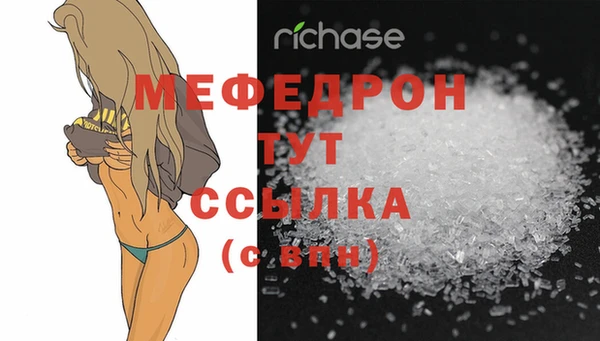 хмурый Аркадак