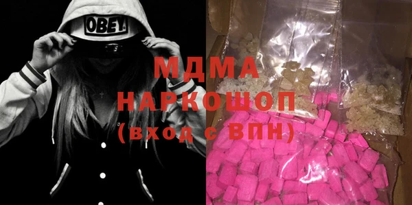 хмурый Аркадак