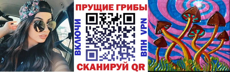 Псилоцибиновые грибы Psilocybe  наркота  Суджа 
